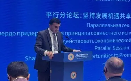 النائب طارق الخولي يشارك في منتدى الأحزاب لمنظمة شنجهاي للتعاون في الصين