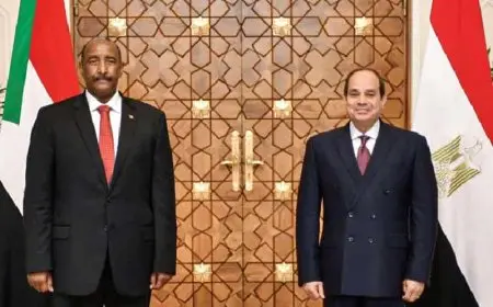 الرئيس السيسي يستقبل البرهان لبحث سبل تعزيز التعاون واستقرار السودان