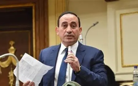 النائب محمد زين الدين: تعديل قانون هيئة الأنفاق يهدف إلى رفع جودة الخدمات المقدمة