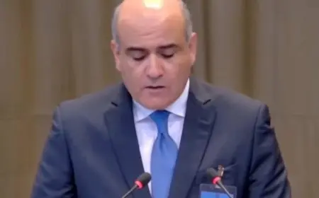 مندوب مصر في محكمة العدل الدولية: إسرائيل انتهكت بشكل صارخ المواثيق والمعاهدات الدولية