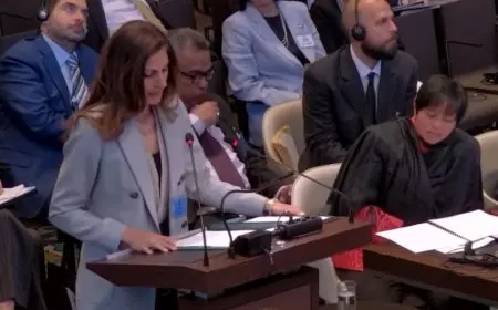 مصر تطالب إسرائيل بالانسحاب من الأراضي المحتلة ورفع الحصار عن غزة أمام محكمة العدل الدولية