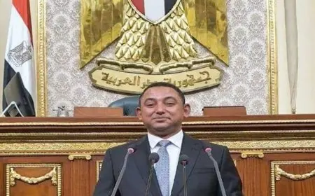 النائب ناصر عثمان: مشروع قانون الإجراءات الجنائية يمثل قفزة حضارية