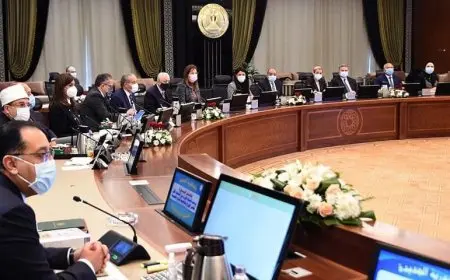 وزير الشباب والرياضة يبرز إنجازات الرياضة المصرية خلال الاجتماع الأسبوعي للحكومة