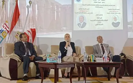 رئيس مصلحة الضرائب يقوم بزيارة ميدانية للأقصر لمتابعة تطبيق التسهيلات الضريبية