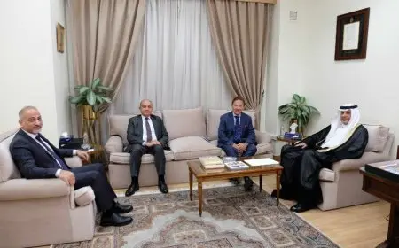رئيس قطاع الشئون الدولية في الجامعة العربية يلتقي بسفير سويسرا في مصر