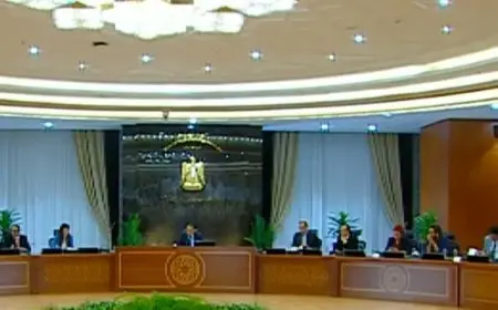 ما هي السلع المتوقع أن تنخفض أسعارها في الفترة القادمة؟ رئيس الحكومة يوضح.