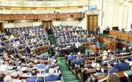 مجلس النواب يعتمد بشكل نهائي مشروع قانون إنشاء قاعدة بيانات موحدة للرقم القومي للعقارات