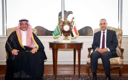 وزير الخارجية والهجرة يستقبل أمين مجلس التنسيق السعودي المصري