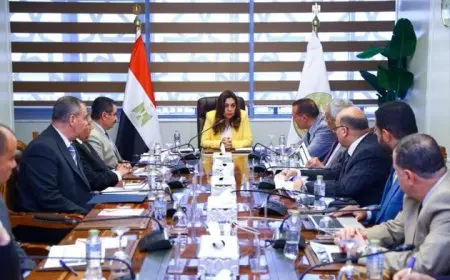 وزيرة التنمية المحلية تتابع سير تنفيذ مشروعات الخطة الاستثمارية للوزارة والمحافظات مع القيادات المعنية
