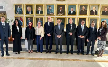 مناقشات سياسية بين مصر والسويد في القاهرة