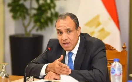 وزير الخارجية: جهود مصرية لاستئناف مسار وقف إطلاق النار في غزة