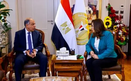 وزيرة التنمية المحلية تلتقي بمحافظ المنيا لمراجعة ملفات الخدمات والمشاريع التنموية