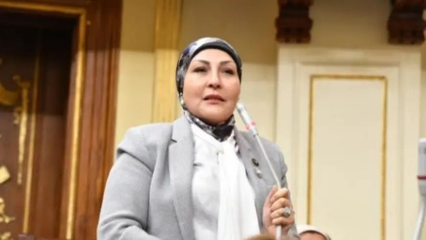 النائبة هالة أبو السعد: الحوار الوطني أمر حيوي لمواجهة التحديات الإقليمية والحفاظ على الهوية الوطنية