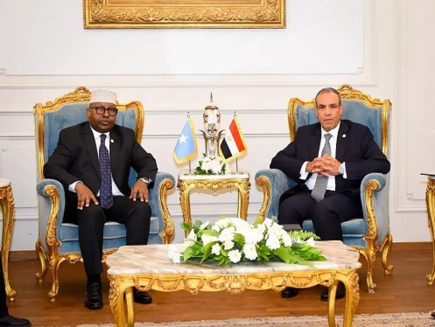 وزير الخارجية ي reiterates لنظيره الصومالي التزام مصر بوحدة وسلامة الأراضي الصومالية