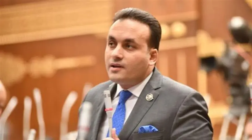 النائب عمرو فهمي يعبّر عن استيائه من نقص التنسيق الحكومي في القضايا الزراعية