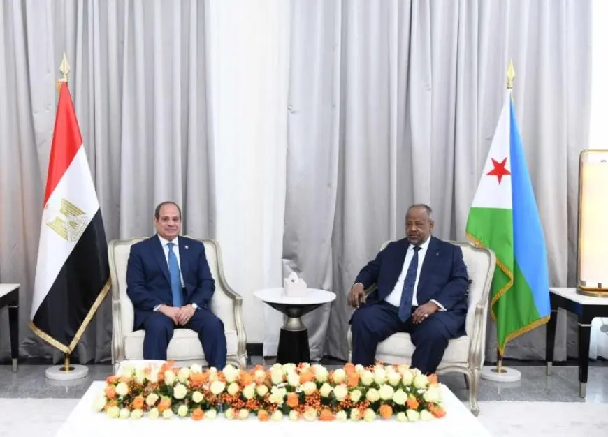 الرئيس السيسي: نرفض تهجير الفلسطينيين إلى خارج أرضهم تحت أي ظرف