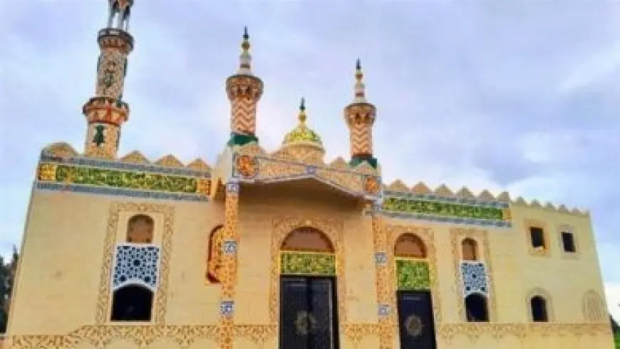انطلاق المؤتمر الصحفي لخالد البلشي لعرض برنامجه الانتخابي في نقابة الصحفيين