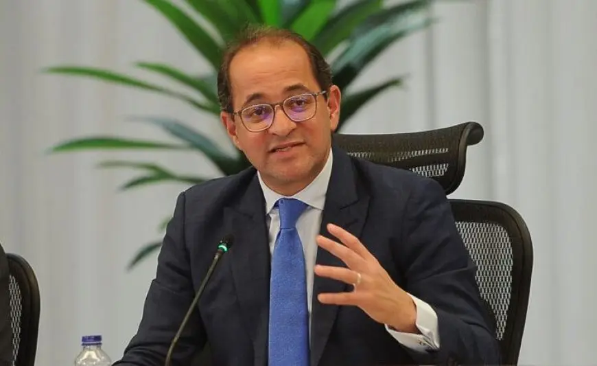 وزير المالية: ارتفاع الاستثمار الخاص في مصر بنسبة 80% سنويًا