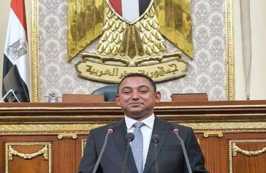 النائب ناصر عثمان: مشروع قانون الإجراءات الجنائية يمثل قفزة حضارية