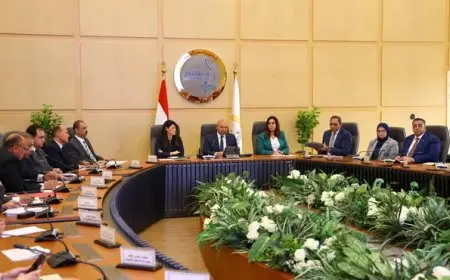 وزير الصناعة يتابع مع المسؤولين مشروعات التنمية الصناعية في إطار برنامج التنمية المحلية بصعيد مصر