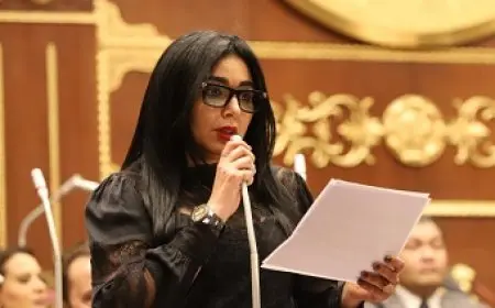 بعد حادثة طفل دمنهور.. النائبة ريهام عفيفي تطالب بمناقشة حول دور المجلس القومي للطفولة في توعية الأطفال