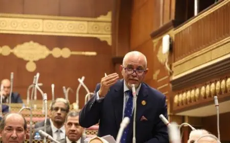 النائب حازم الجندي: عمال مصر هم المحرك الأساسي للتقدم وشرارة الإنتاج في ظل التحديات