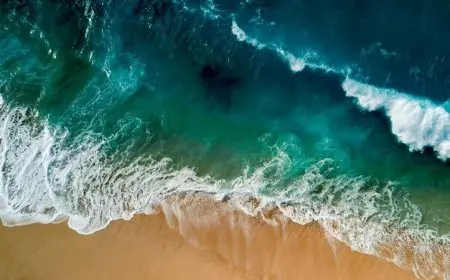 سفير فرنسا في القاهرة يكتب: «نحن المحيط»