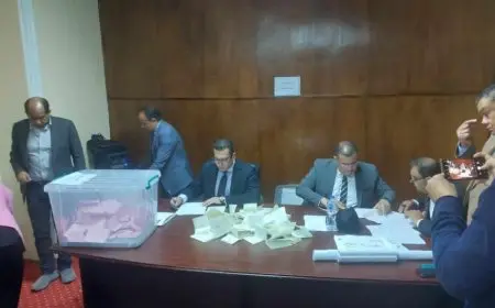بدء عملية فرز الأصوات في انتخابات التجديد النصفي لنقابة الصحفيين بالإسكندرية
