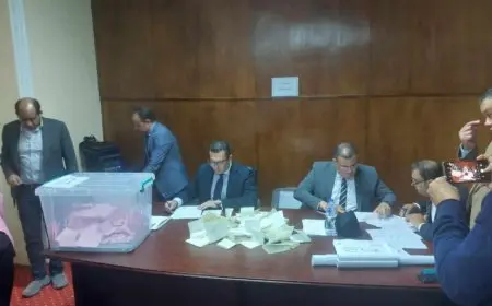 انتخابات نقابة الصحفيين: نتائج فرز لجنة الإسكندرية تسجل 130 صوتا صحيحا و13 صوتا باطلا