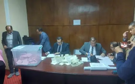 الشروق تعلن عن النتائج النهائية لفرز أصوات لجنة الإسكندرية في انتخابات نقابة الصحفيين