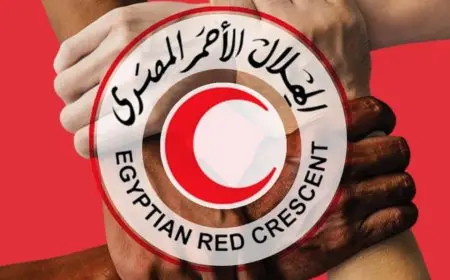 مديرة الهلال الأحمر: الاستجابة الإنسانية لأزمة غزة هي الأكبر خلال 30 عامًا، ودور مصر تاريخي