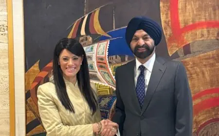 المشاط: مصر تتبنى استراتيجية واضحة لدعم القطاع الخاص وجذب الاستثمارات الخاصة لزيادة فرص العمل