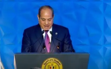 الرئيس السيسي: توقيع اتفاقيات مع دول متعددة لتوفير فرص عمل كريمة للعمالة المصرية المتخصصة