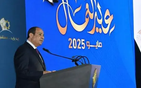 بعد الاحتفال معهم بعيدهم.. رئيس اتحاد العمال: الرئيس السيسي ي حرص على توفير بيئة عمل ملائمة لهم