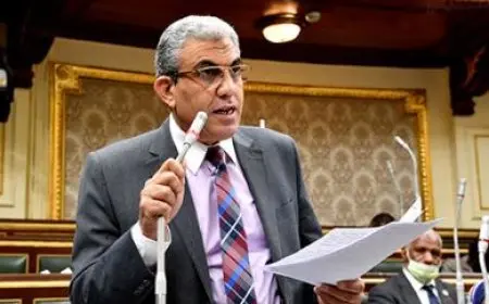 رئيس لجنة القوى العاملة بالنواب: 30 مليون مستفيد من قانون العمل الجديد ومزايا عمالية إضافية