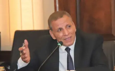 النائب عبدالفتاح محمد: قرارات السيسي تعكس دعمه المستمر لعمال مصر