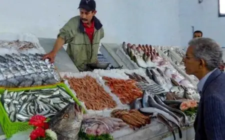 الأحد 4 مايو 2025.. أسعار الأسماك في سوق العبور اليوم للجملة