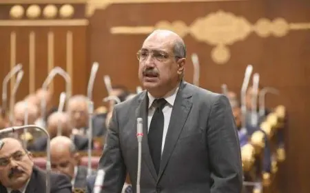 النائب إيهاب وهبة يدعو لسد الثغرات القانونية لمكافحة الجرائم الإلكترونية