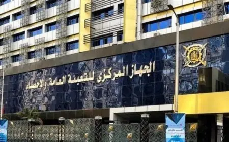 الإحصاءات تُظهر أن قيمة التبادل التجاري بين مصر وجزر القمر ستصل إلى 3.6 مليون دولار في عام 2024