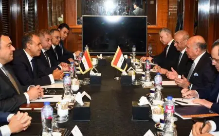 وزير الخارجية ونظيره العراقي يناقشان تطورات الوضع الإقليمي والاستعدادات للقمة العربية