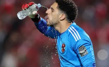 شوبير يكشف عدم وجود مفاوضات مع فالنسيا بشأن انتقال ابنه مصطفى حارس الأهلي