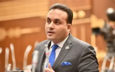 النائب عمرو فهمي: الأمن السيبراني يعد وسيلة دفاع حيوية لحماية الأمن الوطني