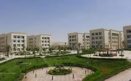 “كشف حصري: قرارات مثيرة لتعيين قادة جامعيين جدد تثير الجدل! اكتشف التفاصيل الكاملة هنا”