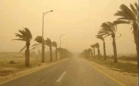 “في أيامنا القادمة: منخفض جوي بارد يجتاح البلاد والأمطار تهطل بغزارة!”