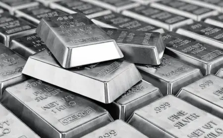 شهية الفضة في مصر! تضاعفت أرباحك بنسبة 6.7% خلال أسبوع واحد!