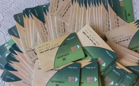 كل ما تحتاج معرفته حول شروط إضافة المواليد على بطاقة التموين عبر منصة مصر الرقمية 2025!