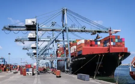 مفاجأة في ميناء دمياط: 32 سفينة تصل خلال يوم واحد!