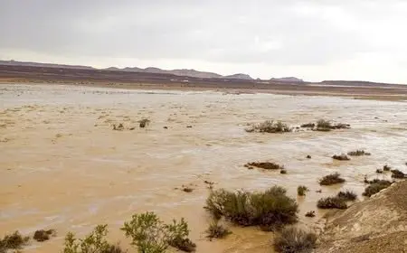 تحقق من آخر تطورات الأمطار والسيول في سيناء مع وزير الري!