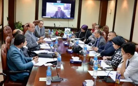 تعرف على أول اجتماع للجنة التصدي للشائعات في الأعلى للإعلام !