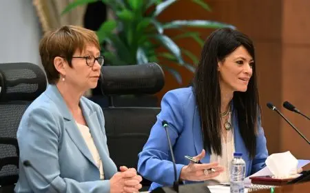 المشاط: كيف نجح البنك الأوروبي في تمويل 1.5 مليار يورو للاستثمارات الخاصة؟